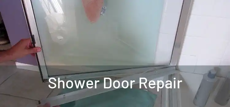  Shower Door Repair 
